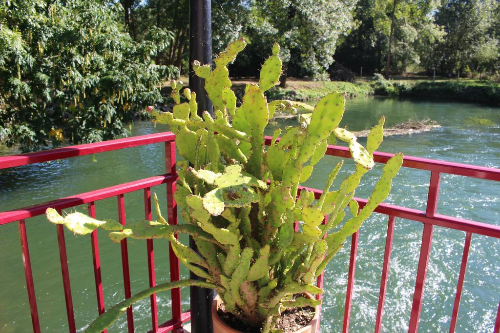 فندق Logis Le Moulin Fleuri Veigné المظهر الخارجي الصورة