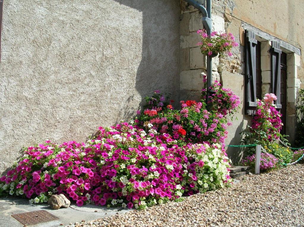 فندق Logis Le Moulin Fleuri Veigné المظهر الخارجي الصورة